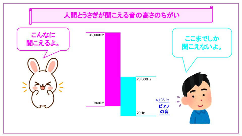 人間とうさぎが聞こえる音の高さのちがい