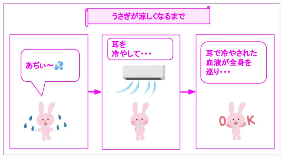 うさぎが涼しくなるまで