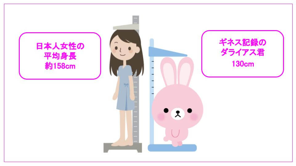 女性とうさぎの背比べ