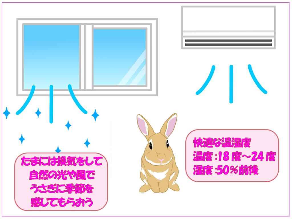 たまには換気もして、うさぎに季節を感じてもらおう