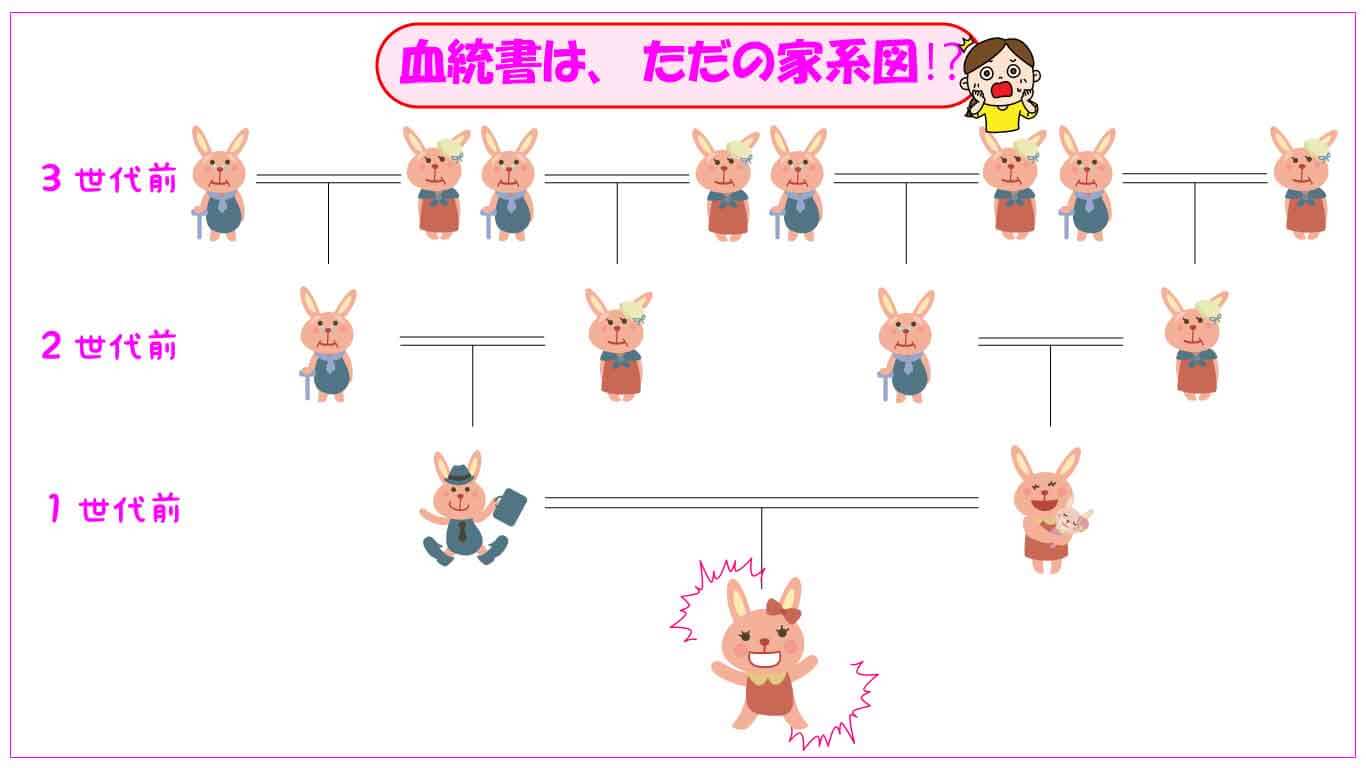 血統書とは、ただの家系図